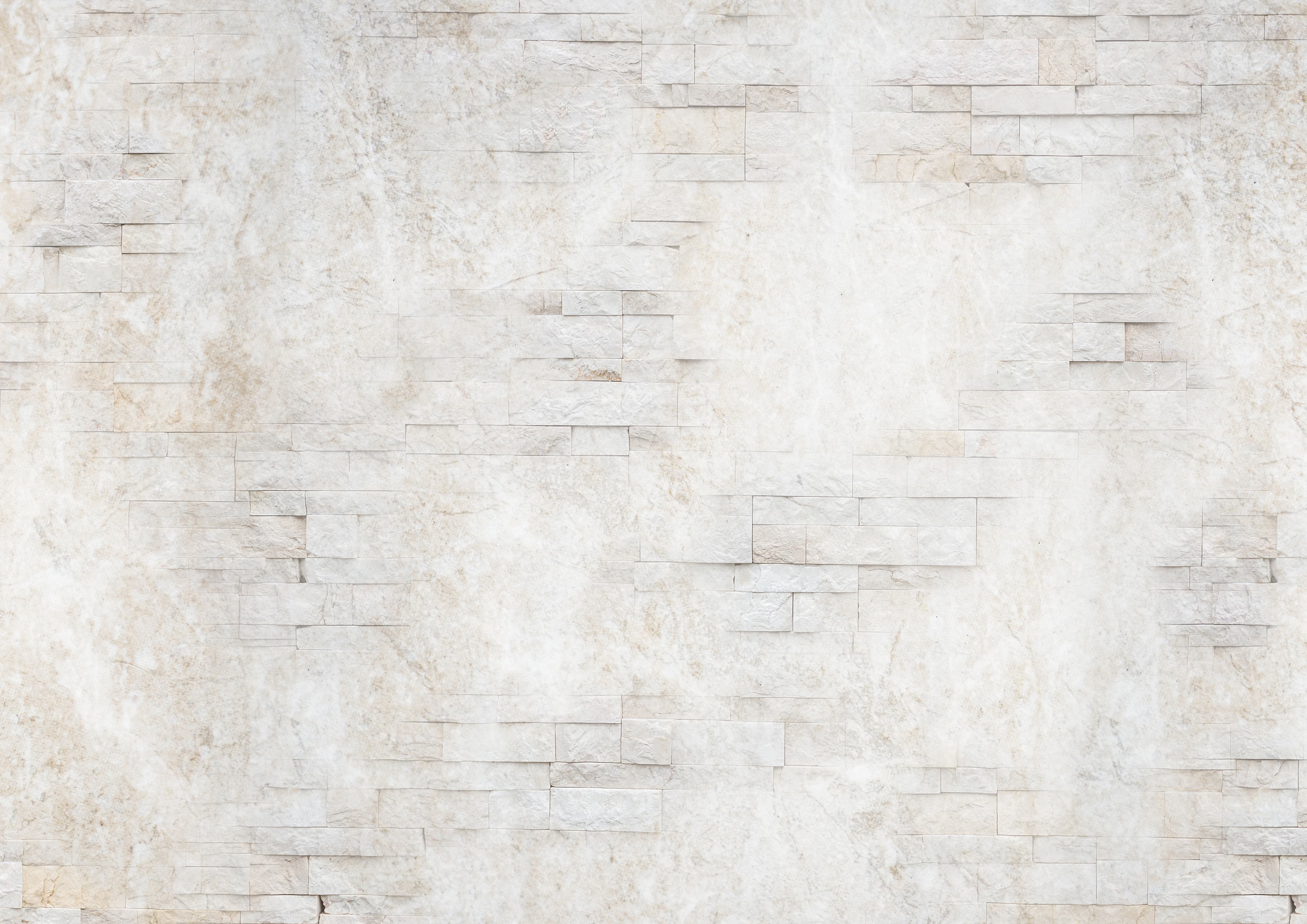 Фон: наши блюда