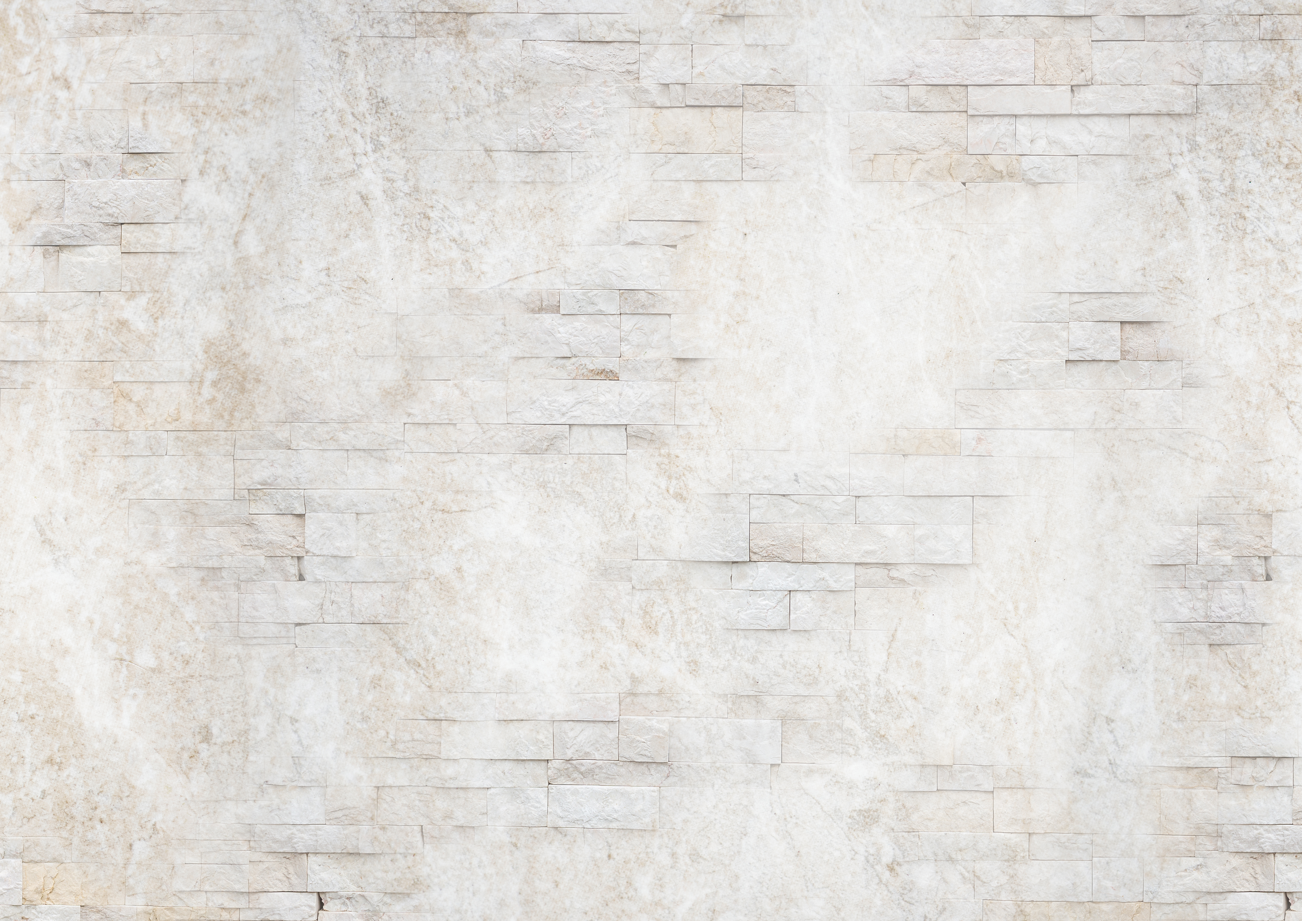 Фон: наши блюда